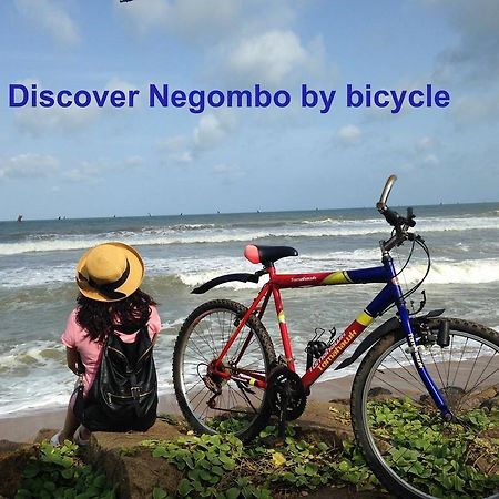 Villa Taprobane Negombo Kültér fotó