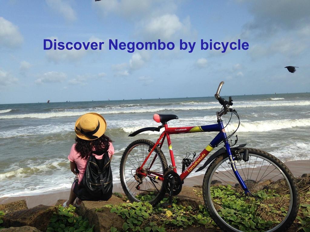 Villa Taprobane Negombo Kültér fotó